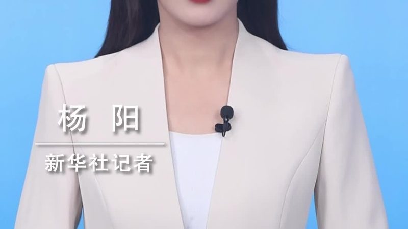 国内SaaS平台排名：揭秘其背后的关键因素